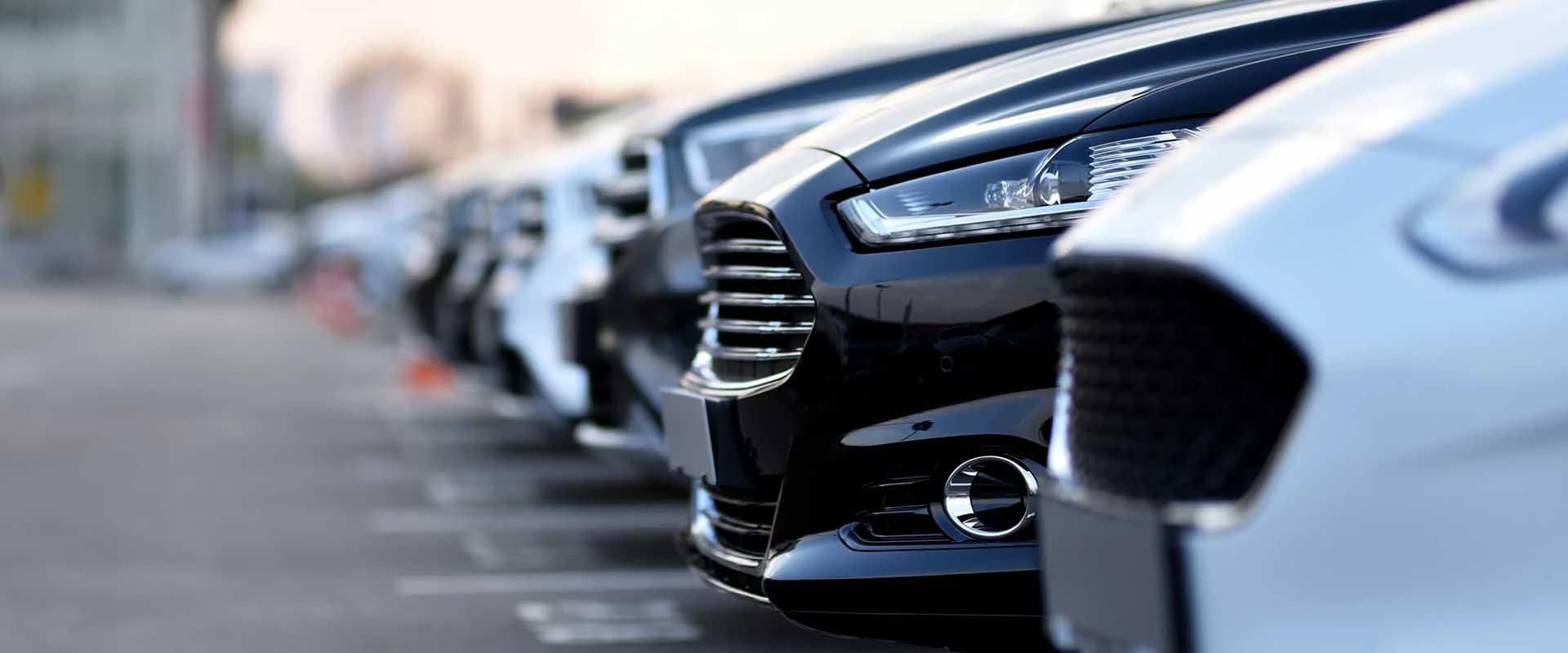 Deutschsprachiger Fahrer in Marrakesch für exklusive Golfausflüge