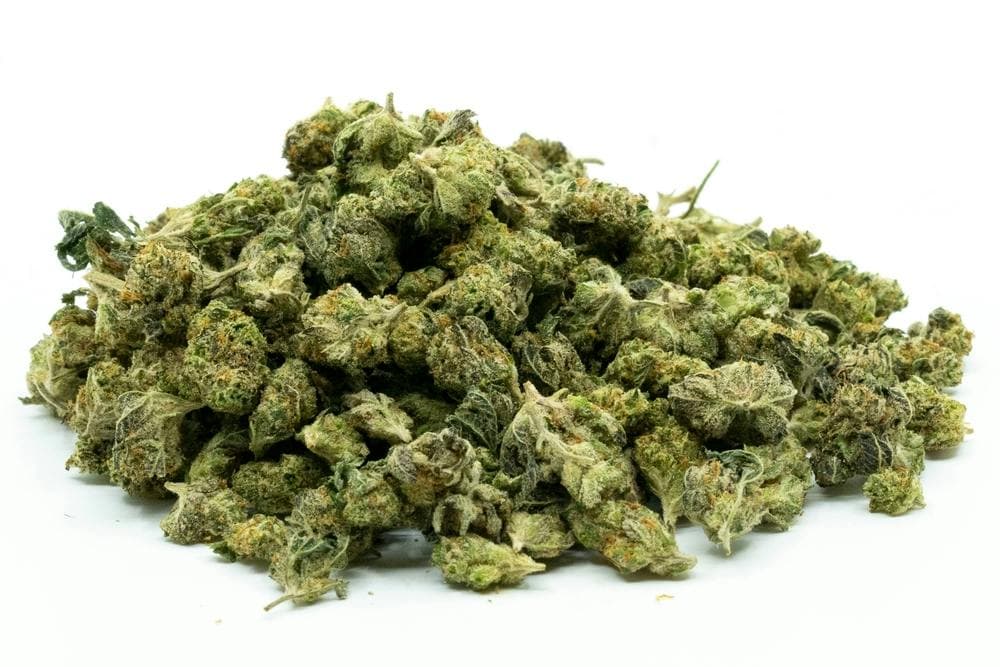 Cannapot: Deine erste Wahl für hochwertige Marihuanasamen