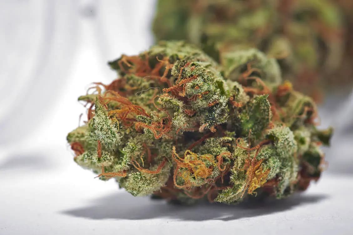 THCA besser als HHC von Hempli: Vielfalt und Qualität für ein gutes Gefühl