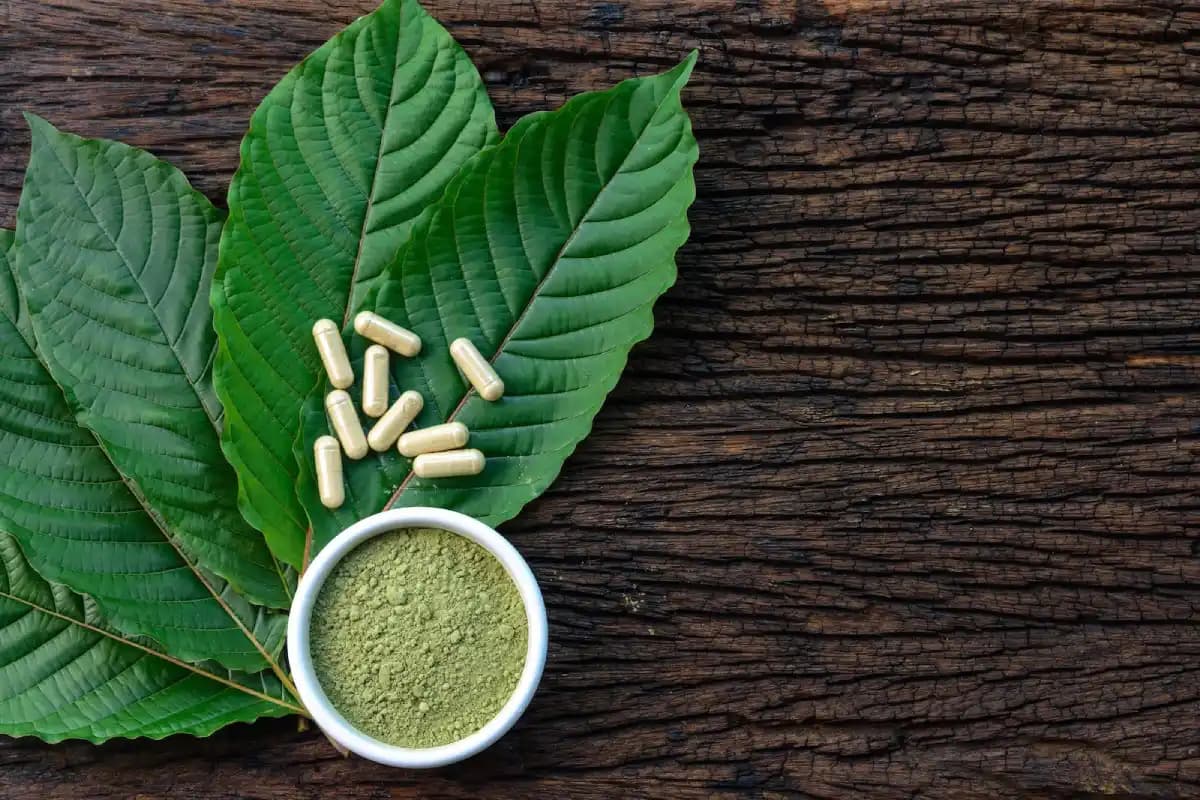 Ihr erster Anlaufpunkt für Kratom in Deutschland und Österreich