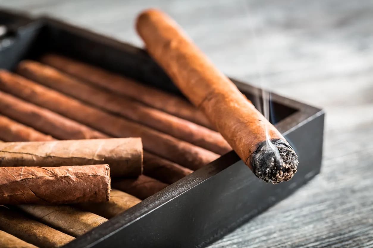 Luxus für Ihre Zigarren: Die besten Humidore von C-Cigars