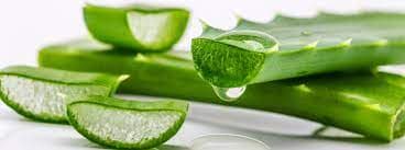 Steigern Sie Ihre Wellness-Routine mit Forever Living Aloe Vera