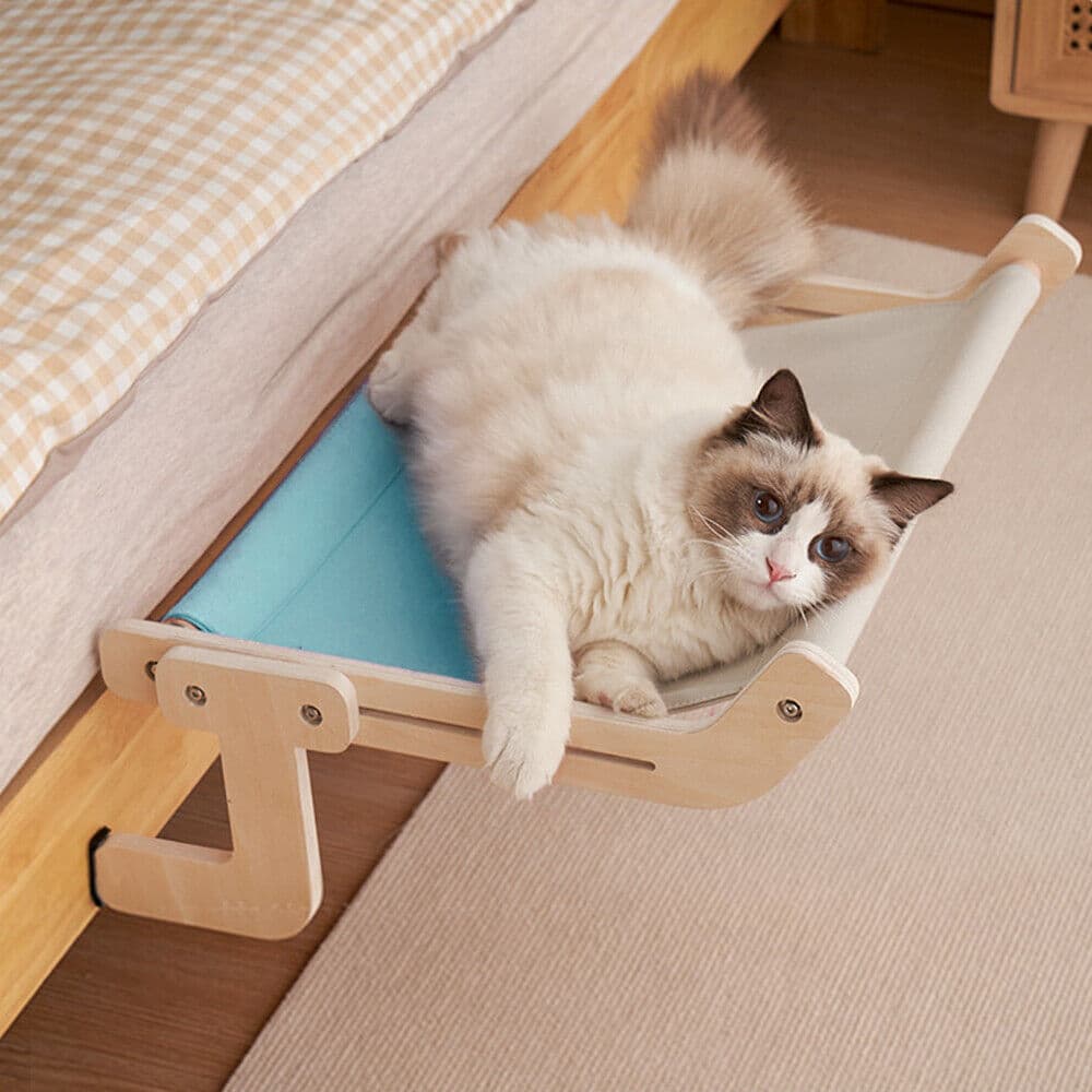 Warum ein Katzenbett mit Anti-Milben-Beschichtung wichtig ist