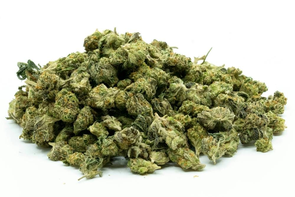 Cannapot: Deine erste Wahl für hochwertige Marihuanasamen