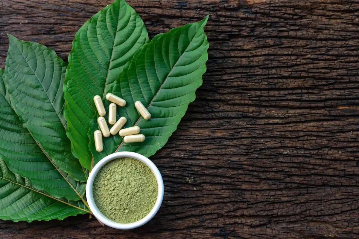 Ihr erster Anlaufpunkt für Kratom in Deutschland und Österreich