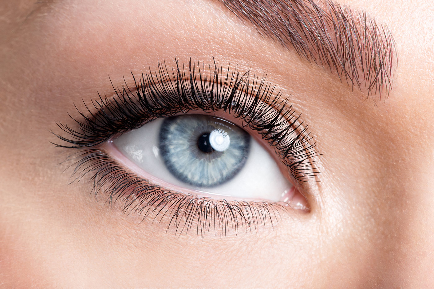 LashLink: Entdecken Sie Wimpern, Augenbrauen und Augenbrauenpinzette in Perfektion